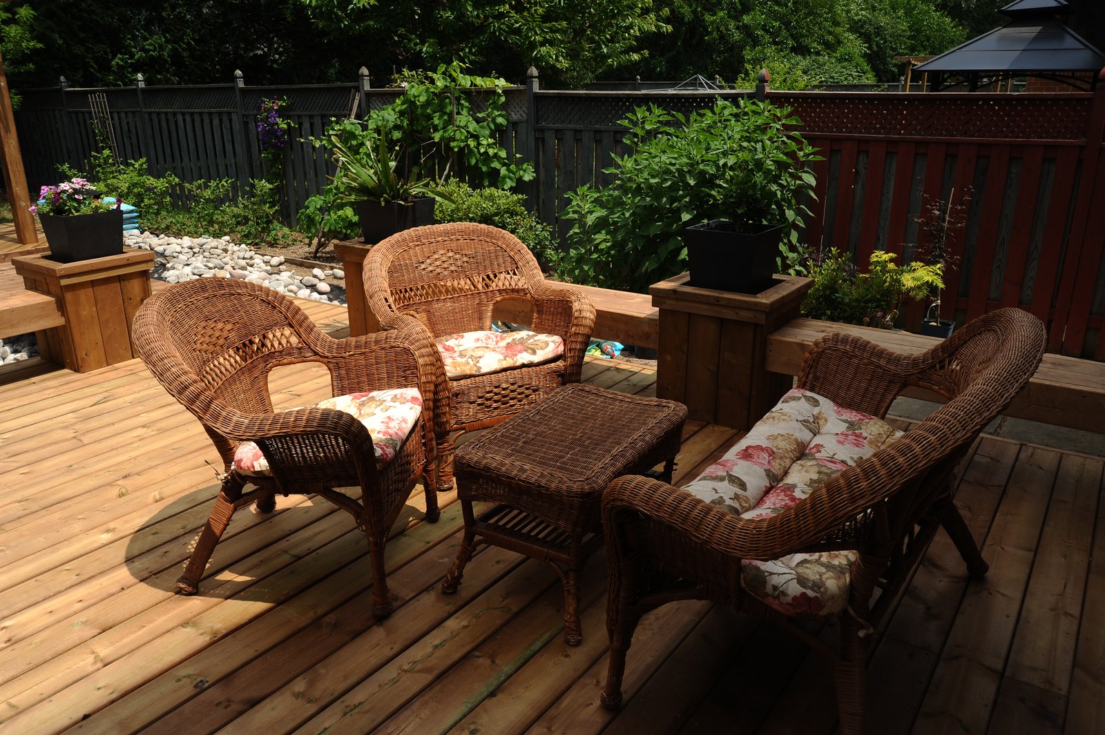 Literator’s backyard