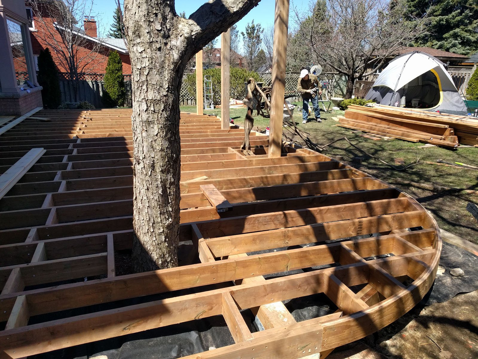 Everything for the wistaria and apple tree