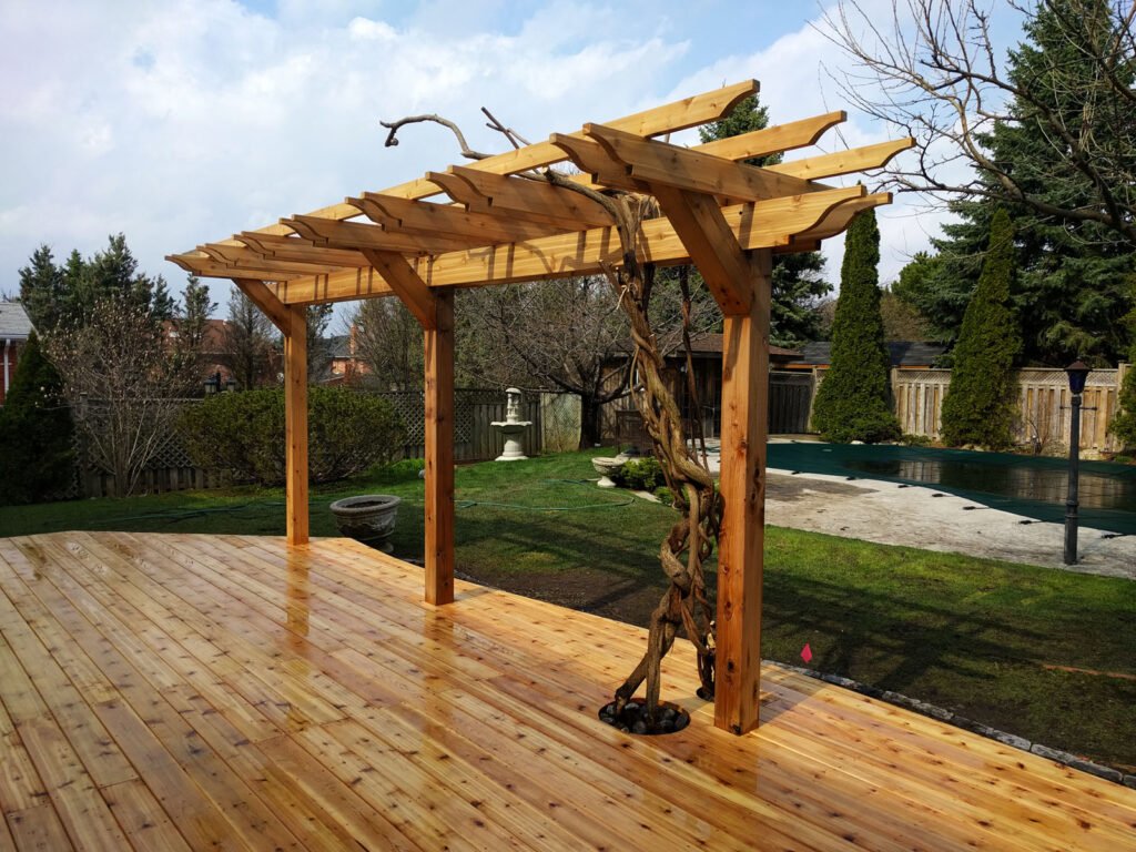 Pergola of years