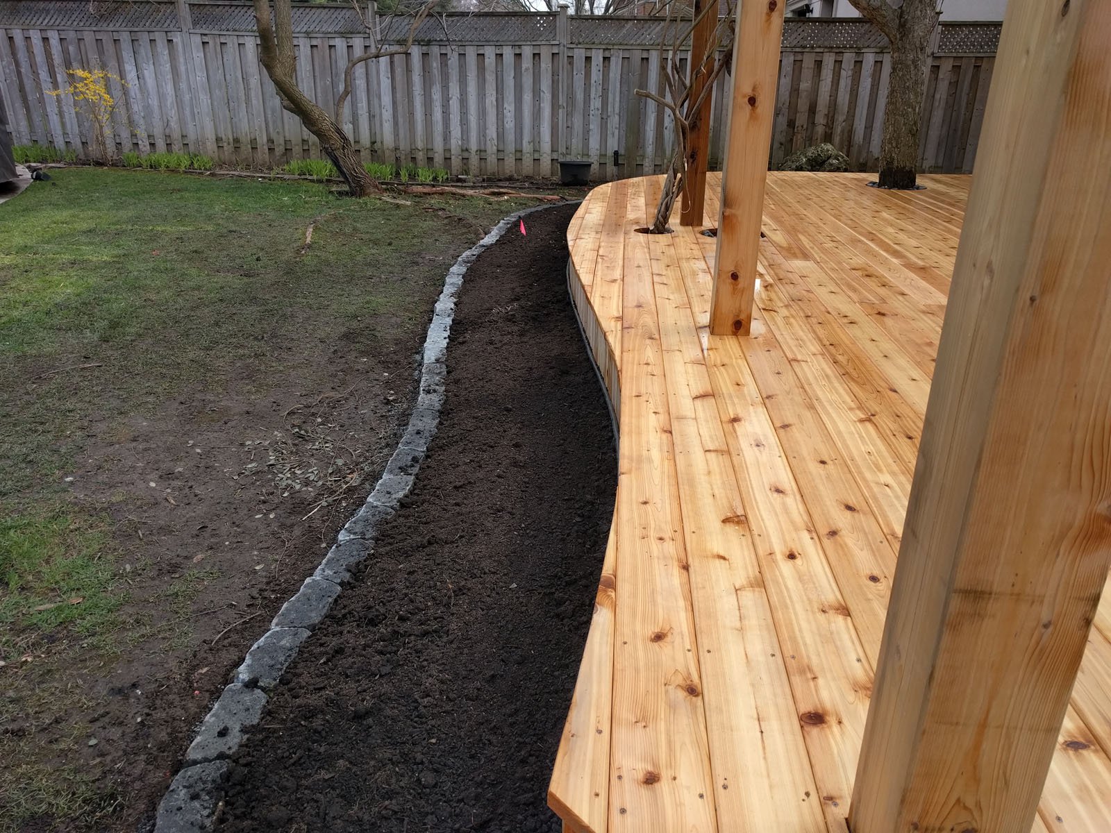 Everything for the wistaria and apple tree