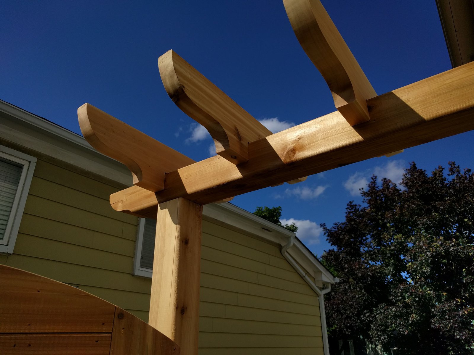 Painting Lady’s Backyard