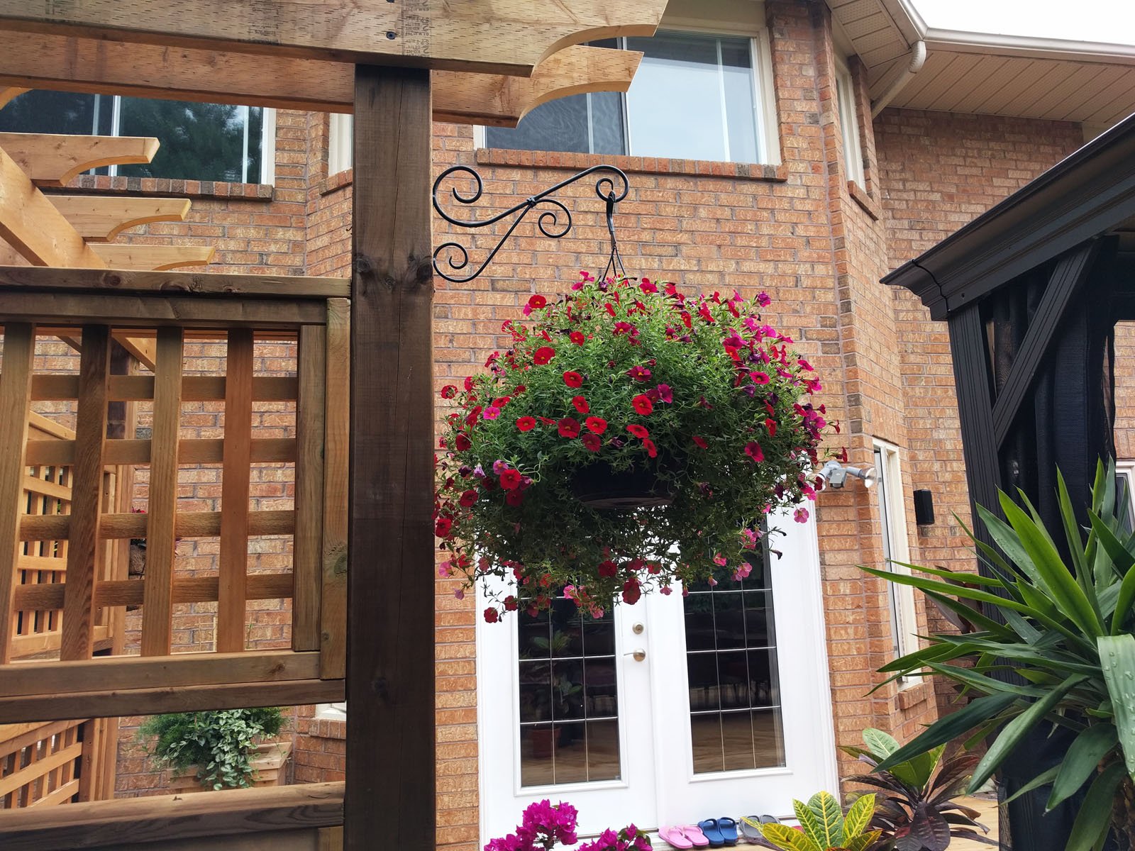 Made Deck Blend in the lovely Garden