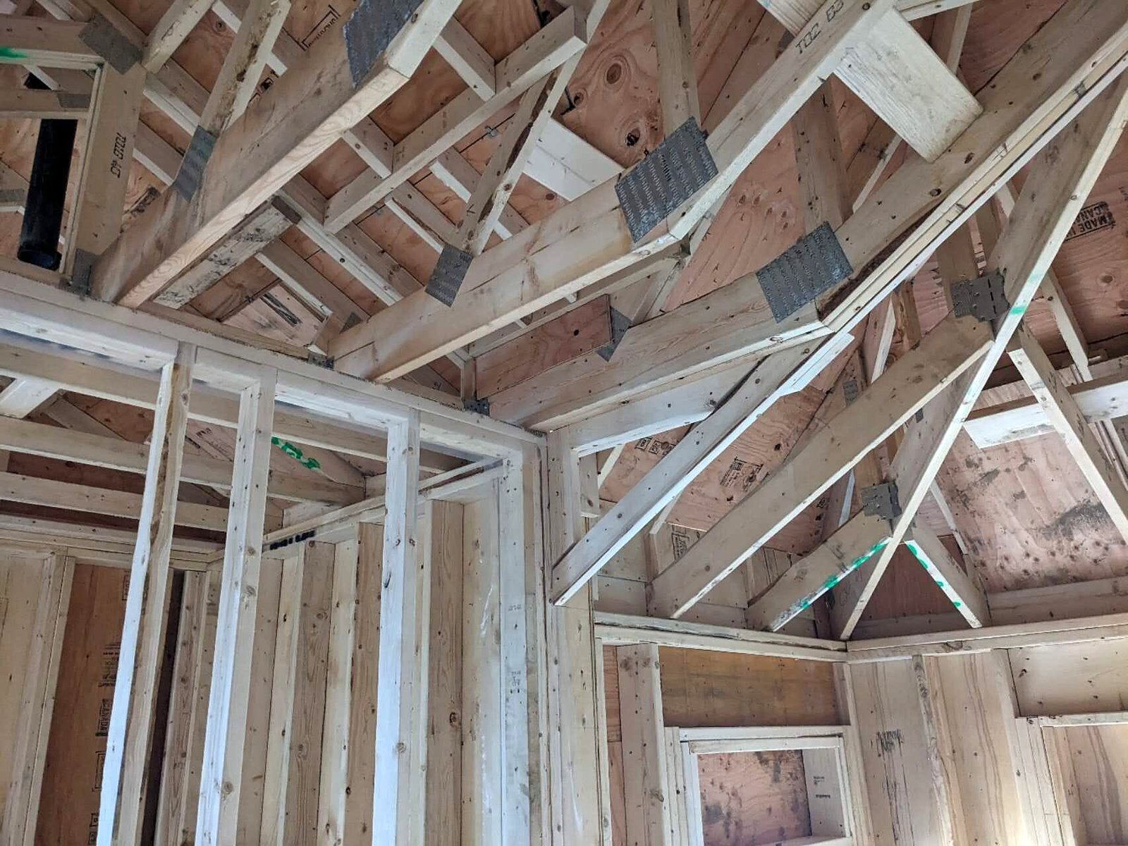 Interior of laneway house showing roof trusses and wall framing