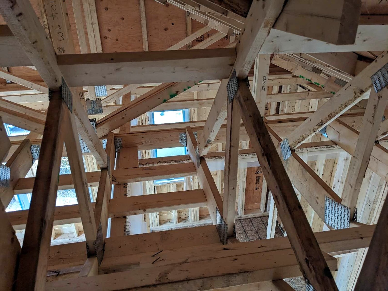 Roof truss and wall framing detail looking up